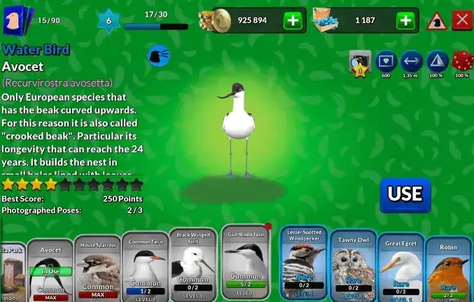 Interfaccia di gioco